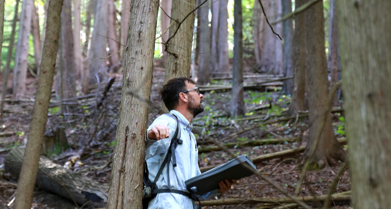 TRCA terrestrial monitoring team studying plant and animal species in a forest area