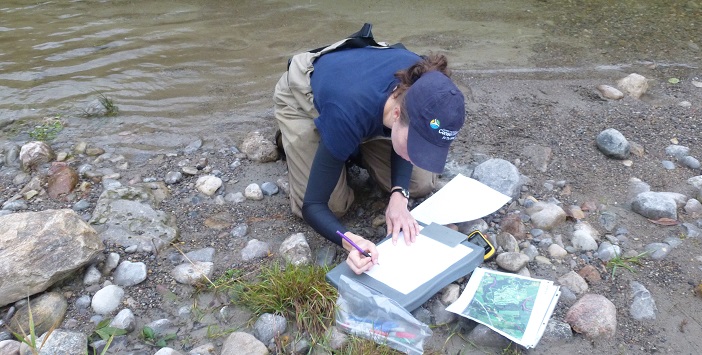 TRCA environmental monitoring team member studies sensitive fish species in the Seaton Development Lands