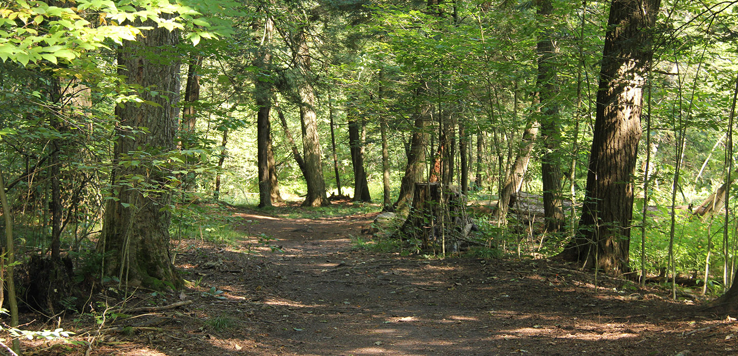 hiking trail at boyd conservation area