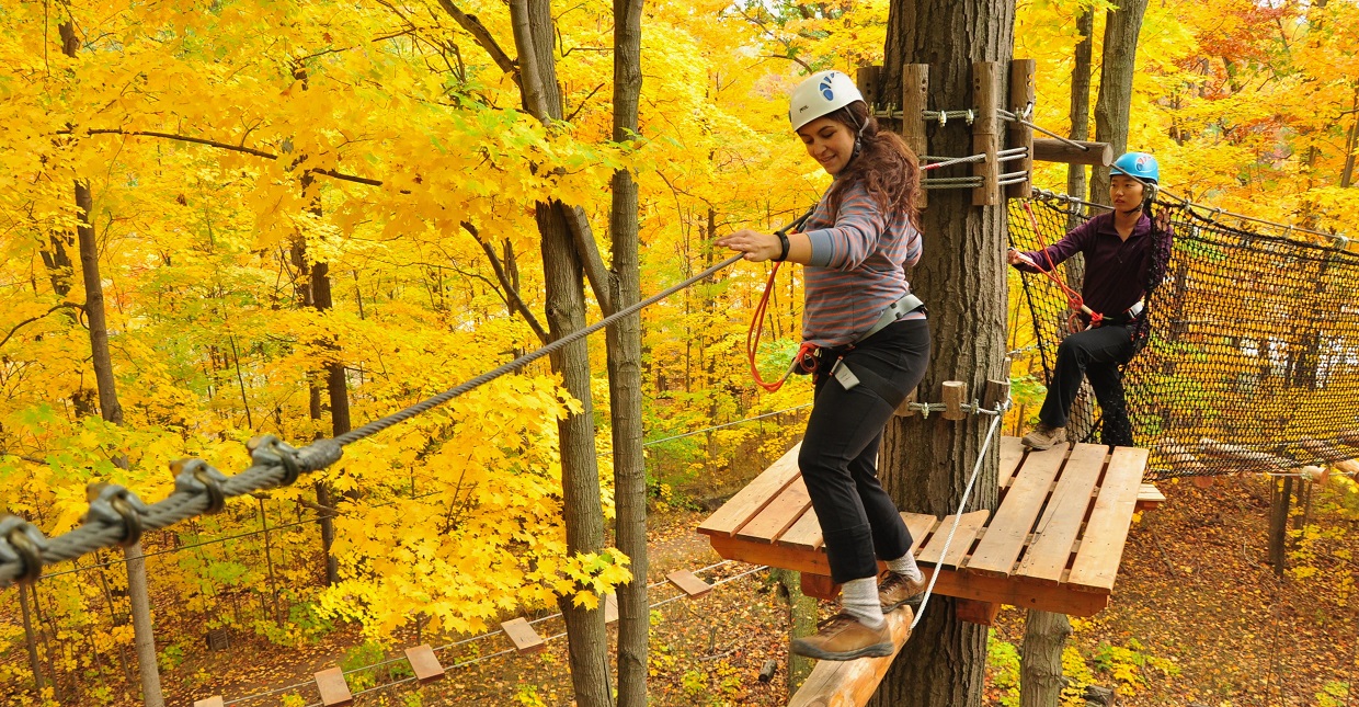 young women on treetop trekking course at bruces mill conservation park