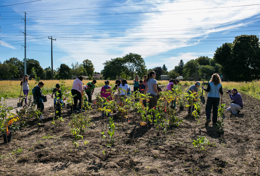 Students planting shrubs at The Meadoway in Scarborough, Ontario