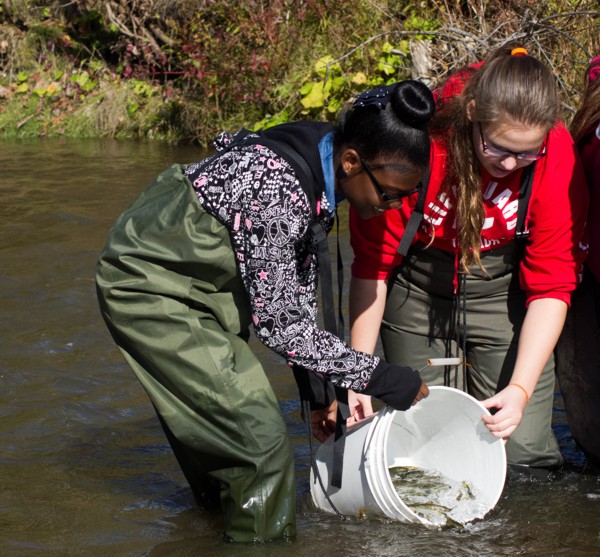 Girls stocking fish in Duffins Creek 2013