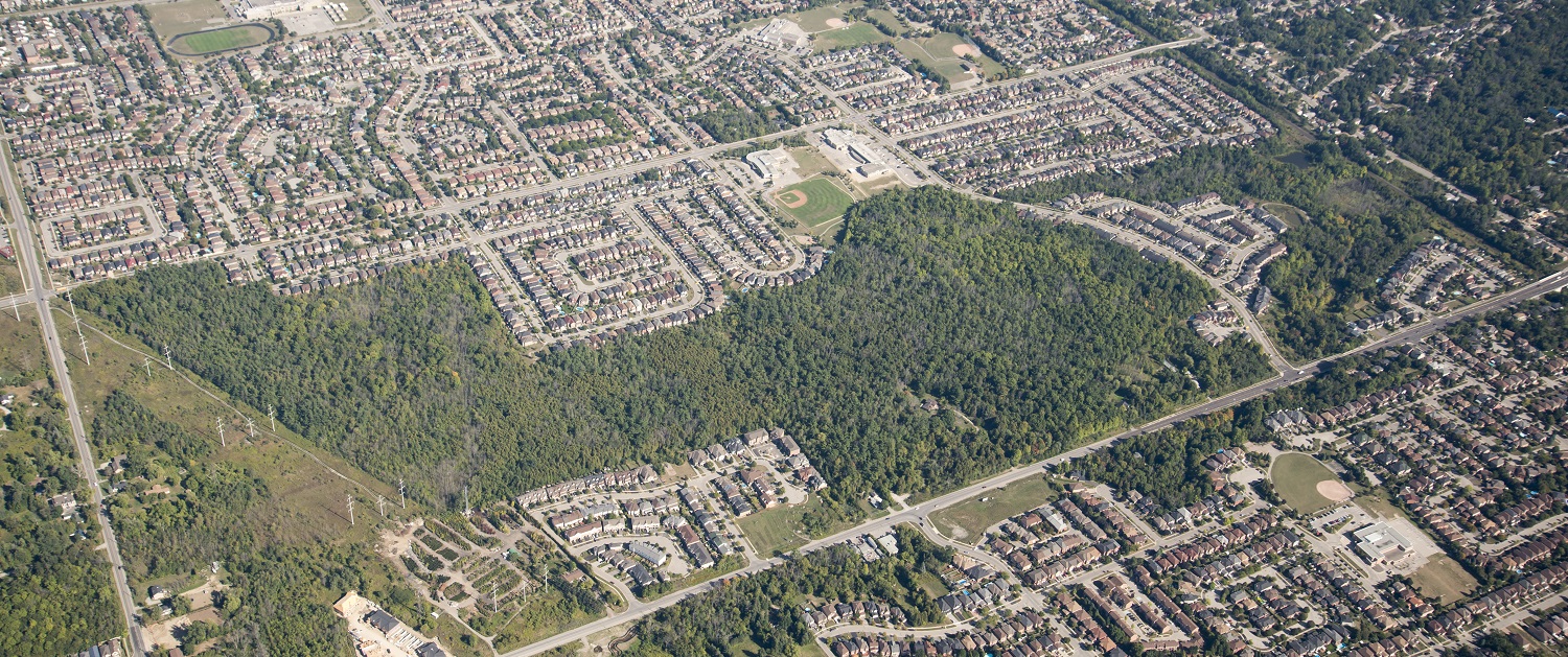aerial view of Altona Forest in the City of Pickering