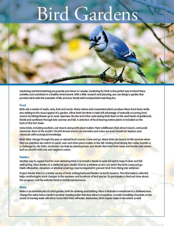 bird gardens fact sheet cover