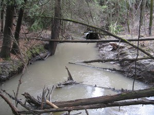 Stream bank erosion