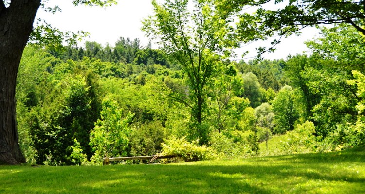 A picture of the Humber River Valley close to Nobleton, Ontario.