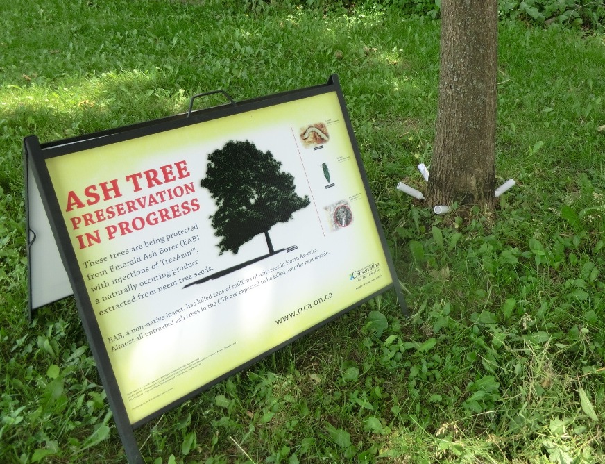 Sign about treating trees for Emerald Ash Borer