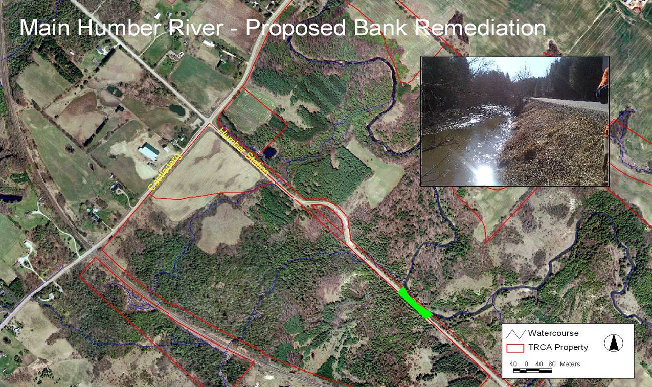 Main Humber River Proposed Bank Remediation