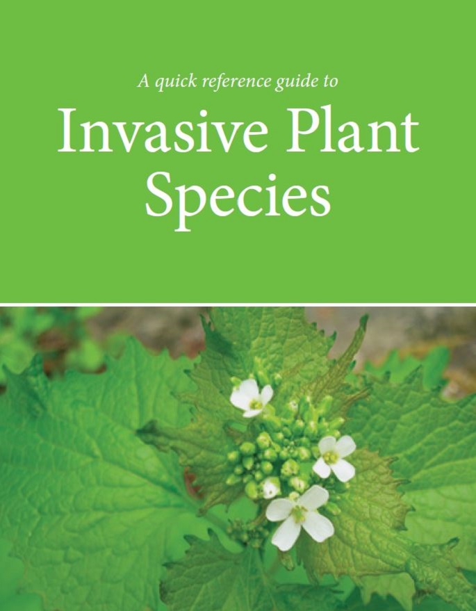 invasive plant species fact sheet