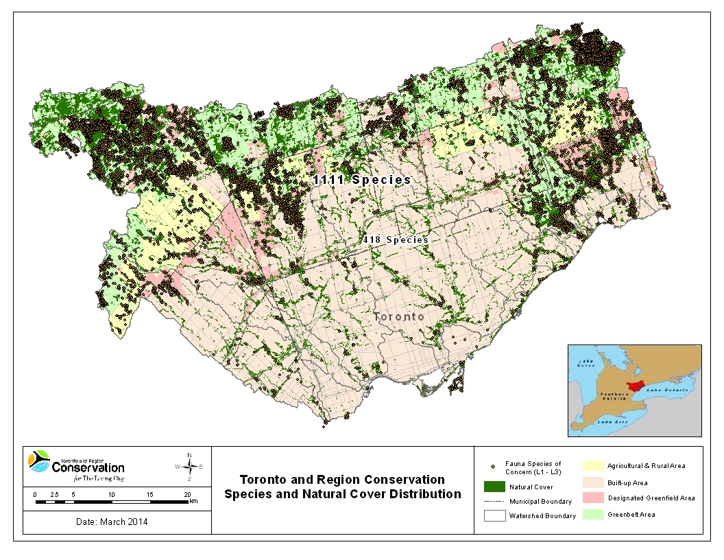 TRCA terrestrial monitoring species and natural cover distribution map