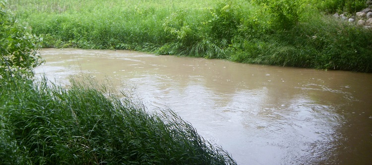 TRCA Environmental Monitoring SOSMART stream water quality