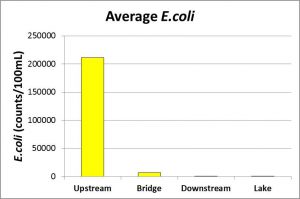 Average E.coli