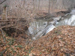 Exposed pipe and concrete encasement in wilket creek