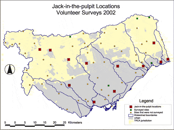 Map, Jack In the Pulpit