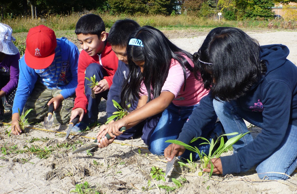 Highland Creek school planting project