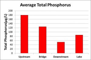 Average Total Phosphorus