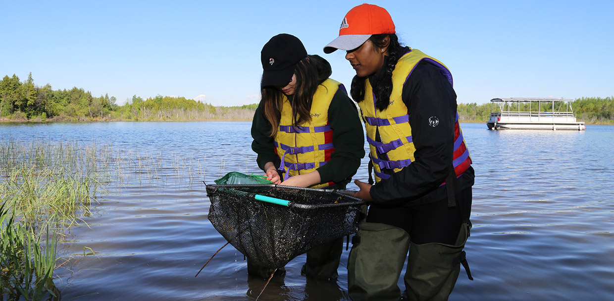 students conduct shoreline survey at Lake St George Field Centre