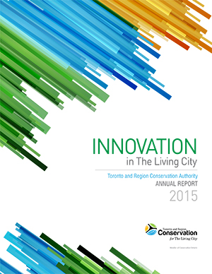 2015 annual report cover