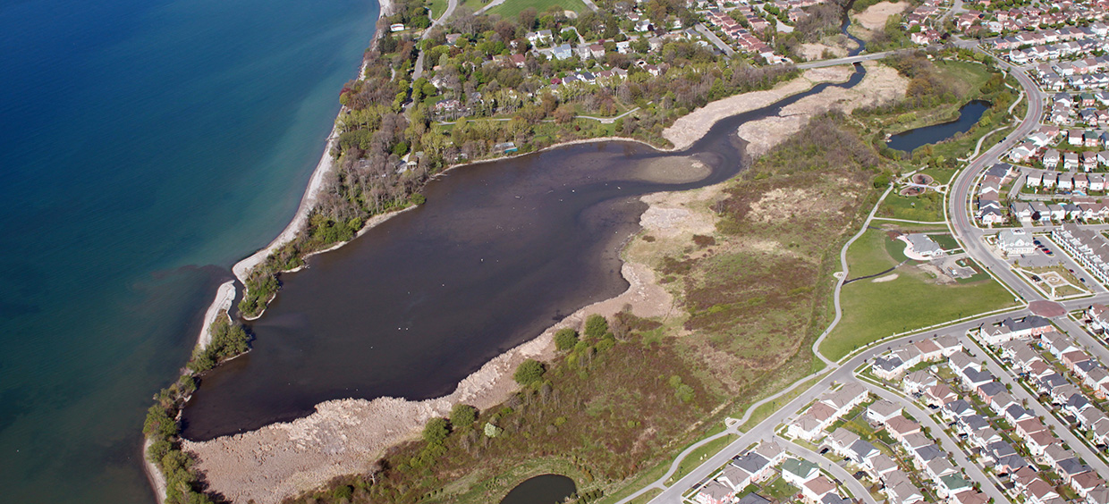 aerial view of the Carruthers Creek shoreline