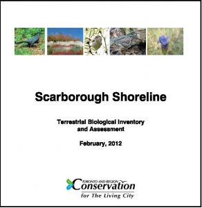 Scarborough Shoreline Report cover