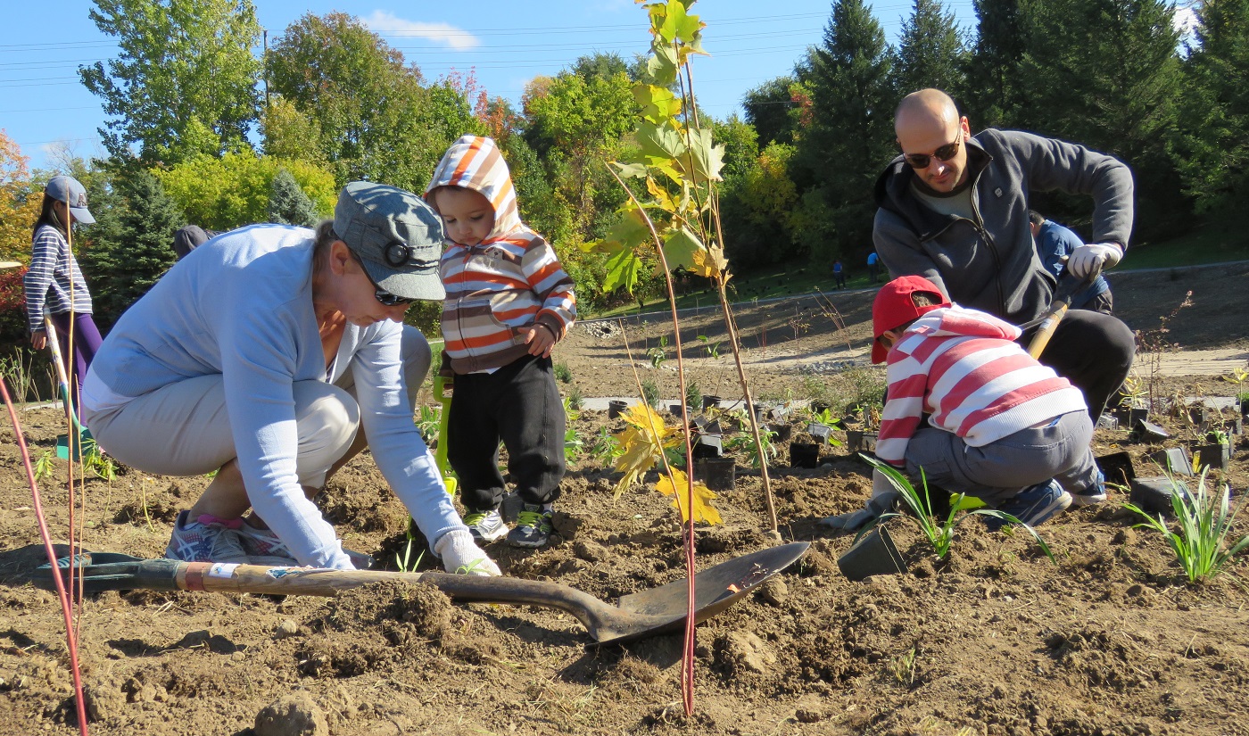 Bayview Glen residents take part in Glencrest Park planting event