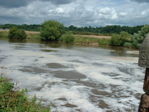 Natural foam on a river