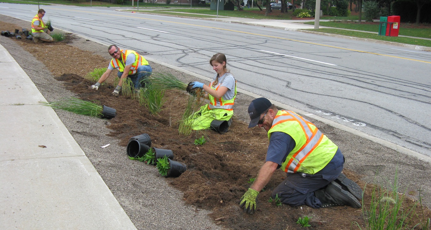 Residents work on the County Court SNAP bioswale project
