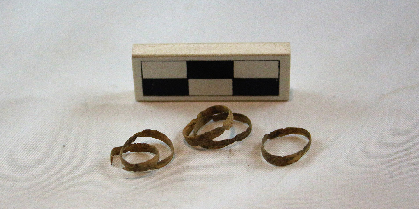 avian tracheal rings discovered by the TRCA Archaeology team