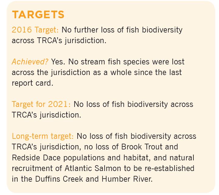 Living City Report Card fish targets