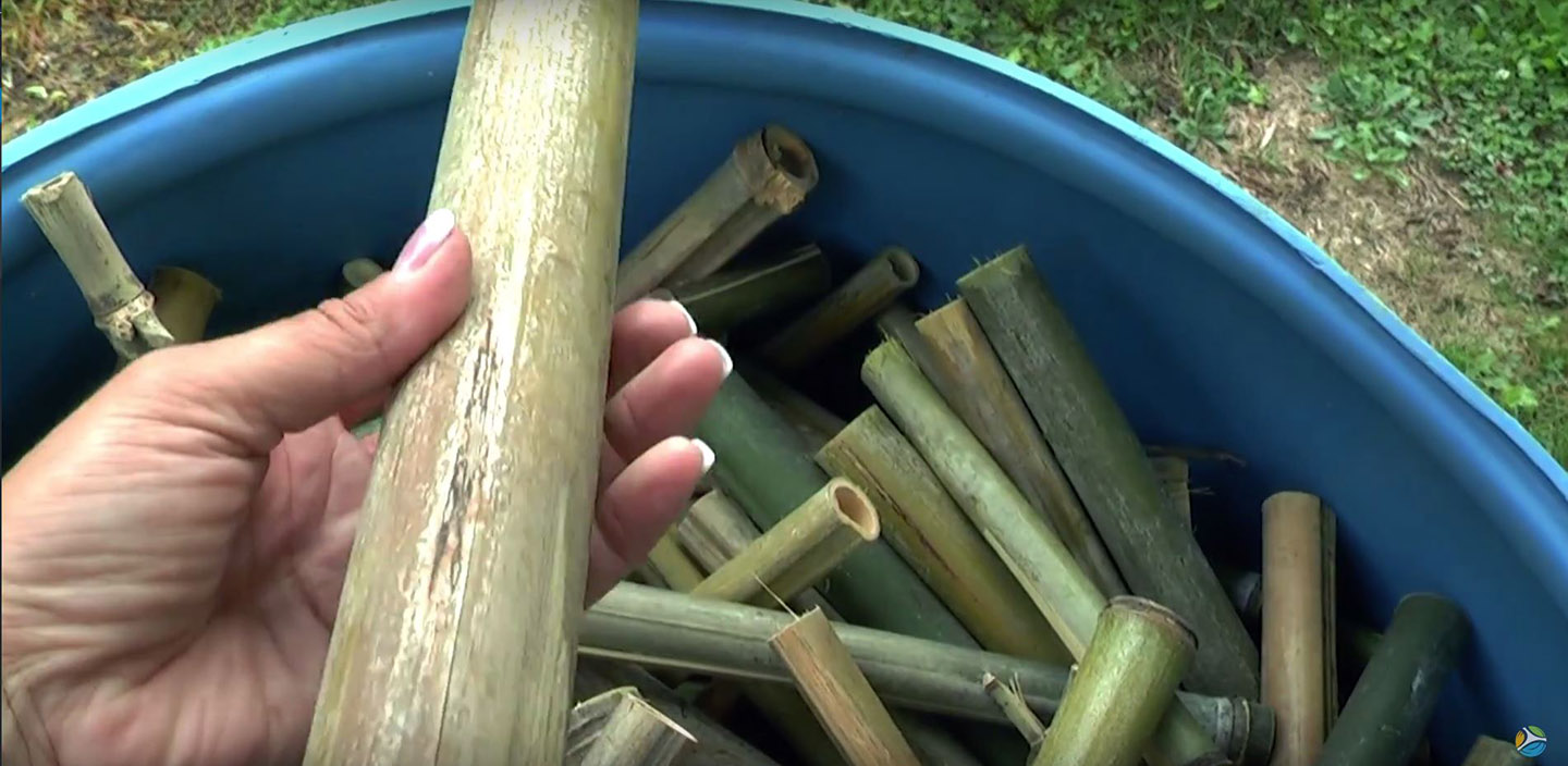 bucket of bamboo stalks