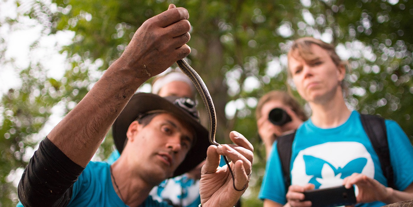 bioblitz participants examine a snake