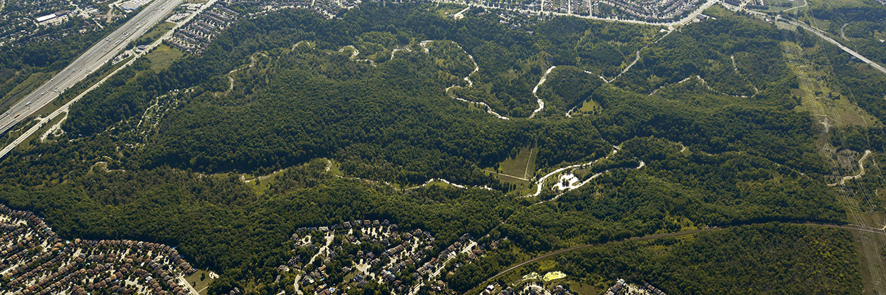 aerial view of Rouge National Urban Park
