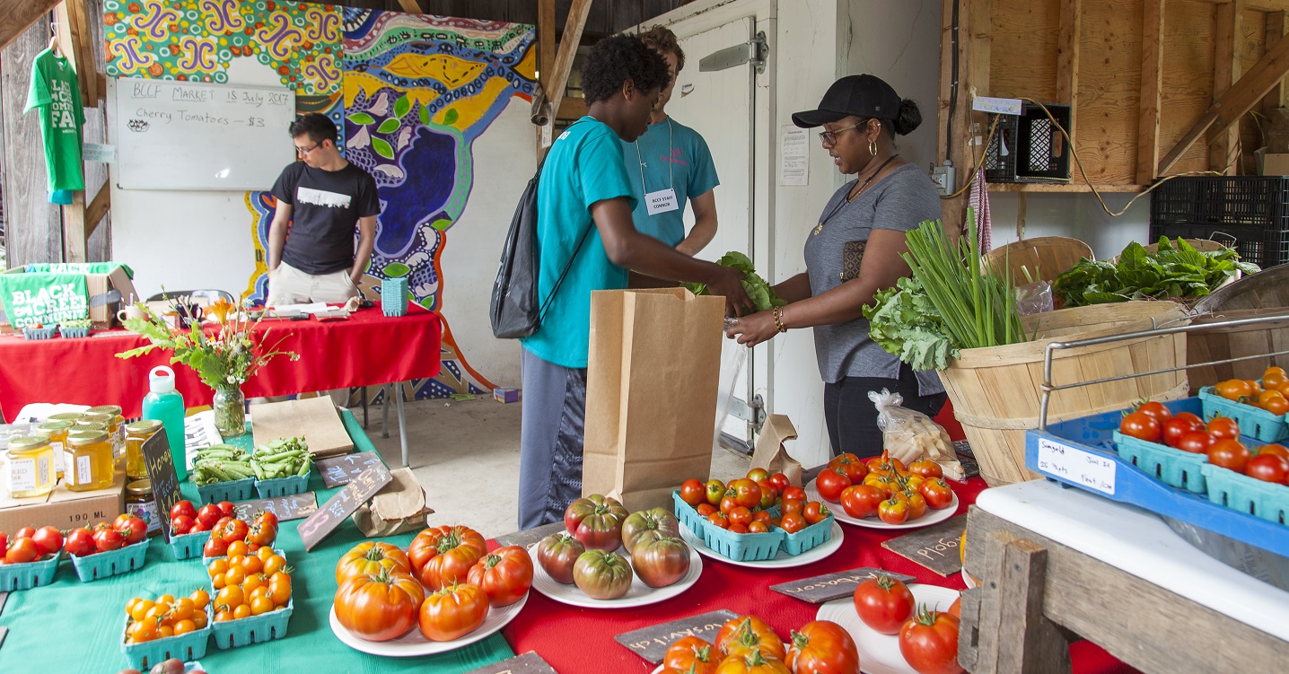 farmers display fresh produce at Black Creek Community Farm