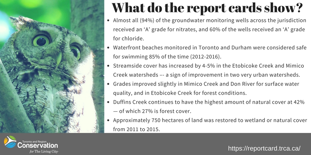 graphic displaying positive results of watershed report cards