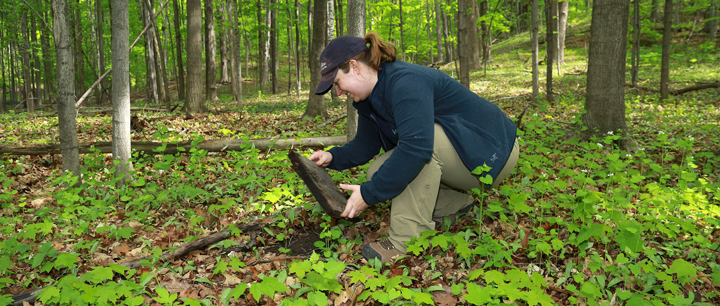 TRCA environmental monitoring team tracks endangered species in the field