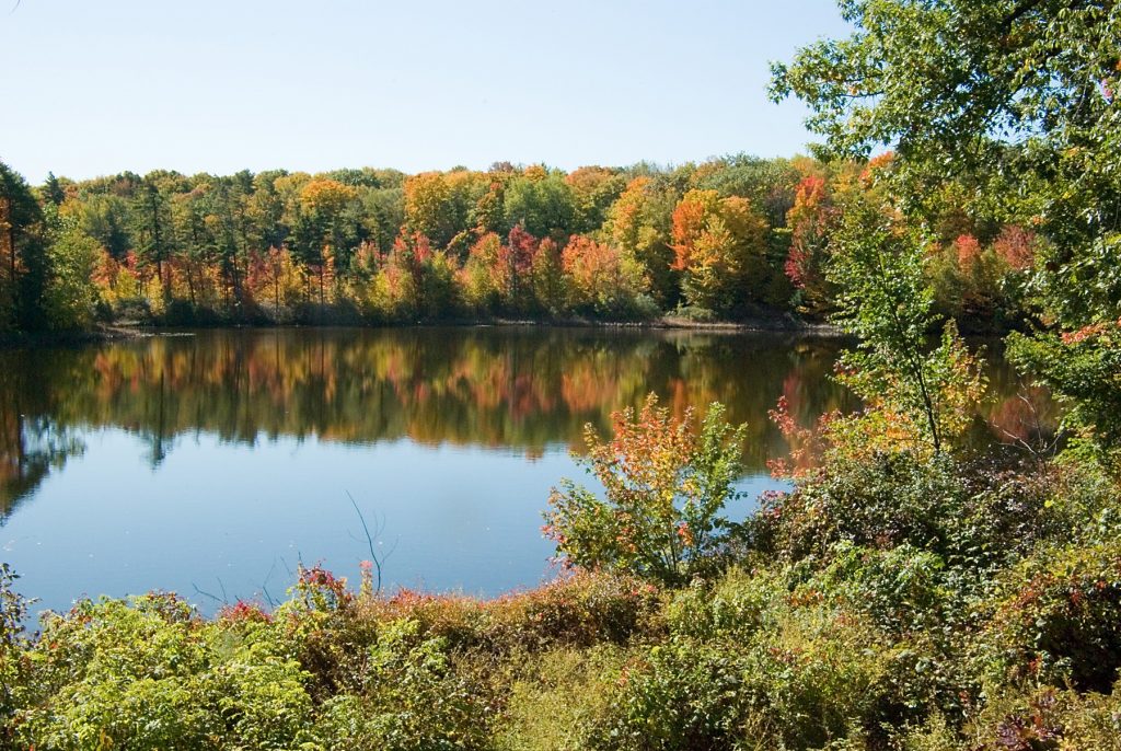 Fall colours at Bond Lake