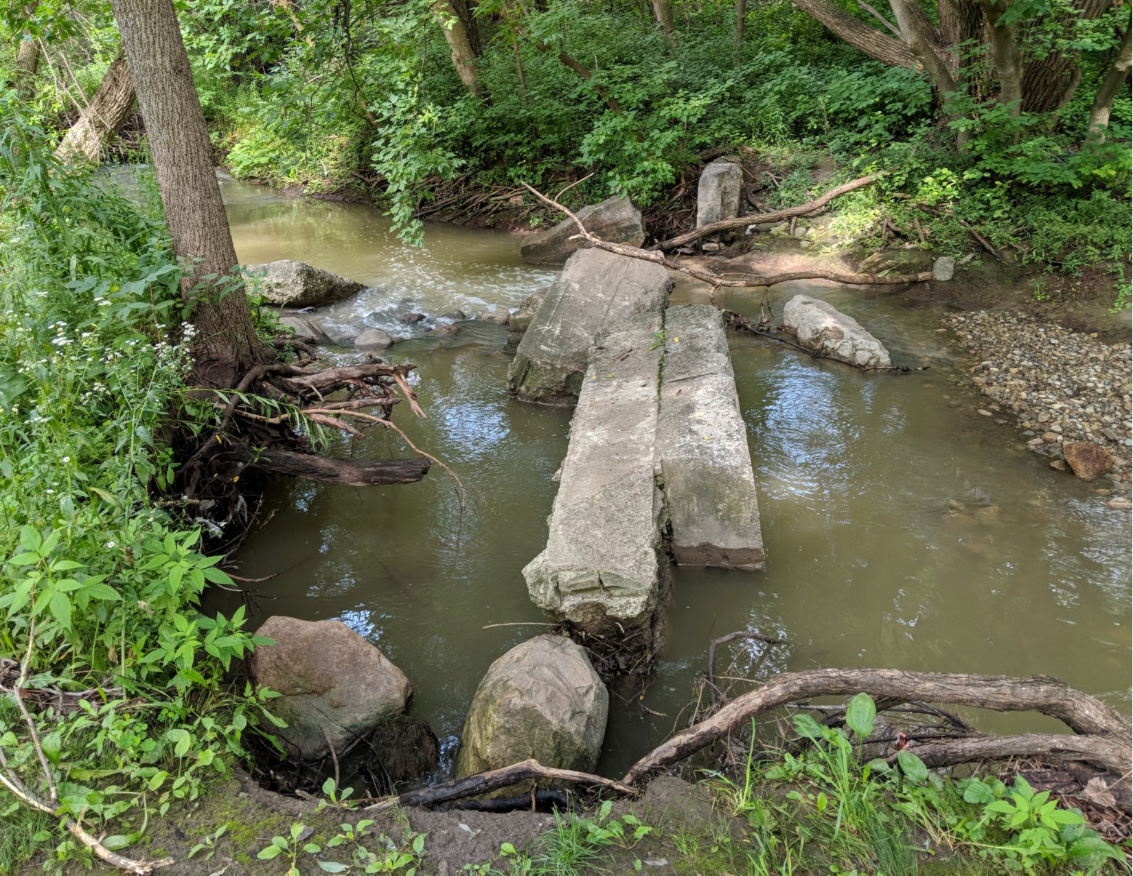 Displaced concrete weir (proposed to be removed) at the upstream portion of Site P-107 where the sanitary line is at risk of exposure.