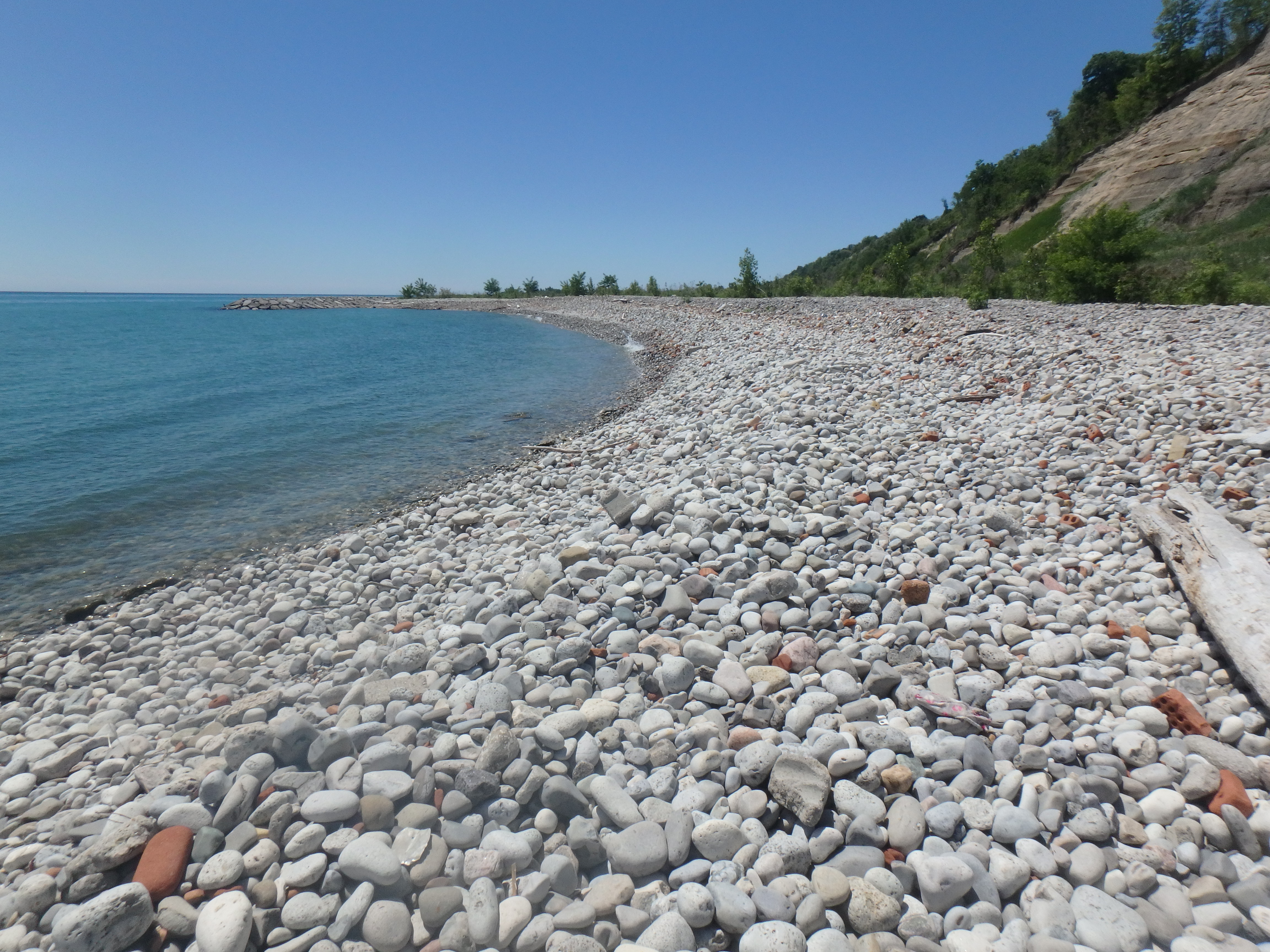 Example of a cobble beach. Source: TRCA, 2018.