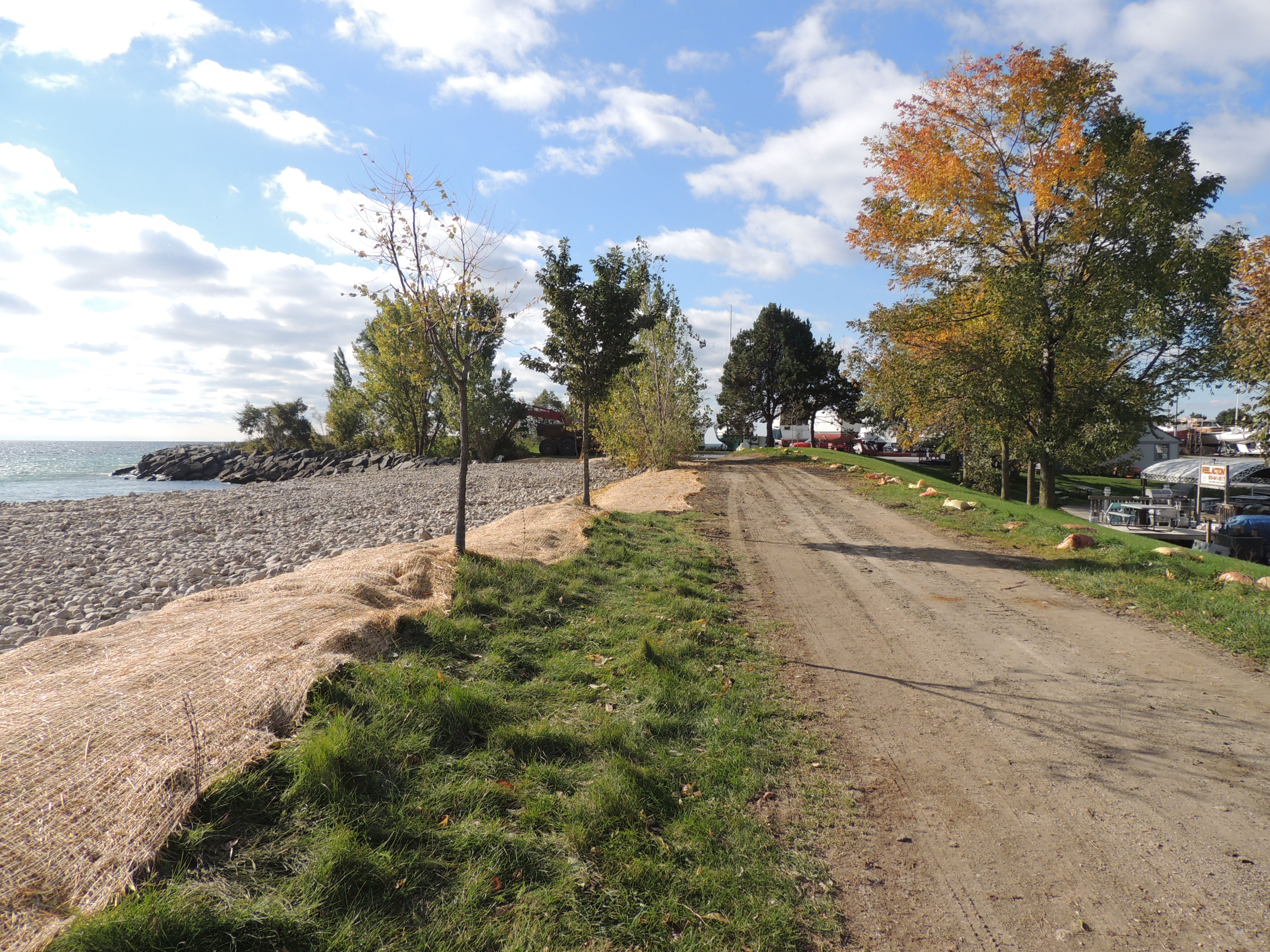 Open access road and newly-seeded area covered with straw matting. Source: TRCA, 2018.