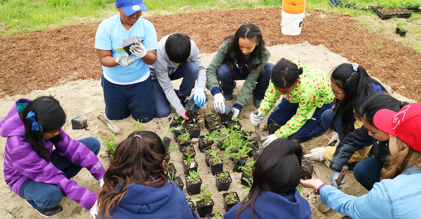 elementary students participate in school planting program
