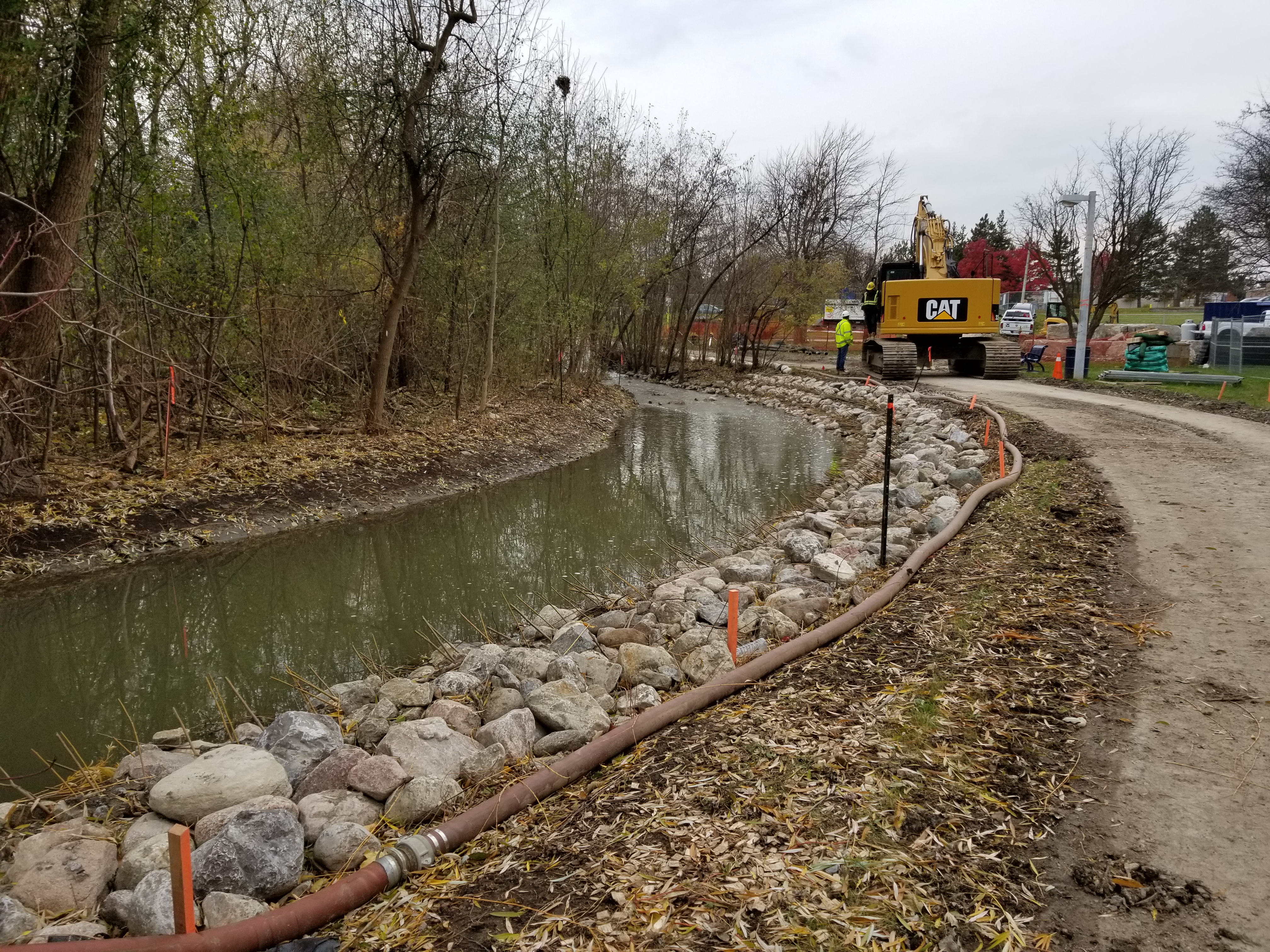 Photo of the recently installed vegetated buttress at the downstream portion of the Maitland Park Stream Restoration Project area