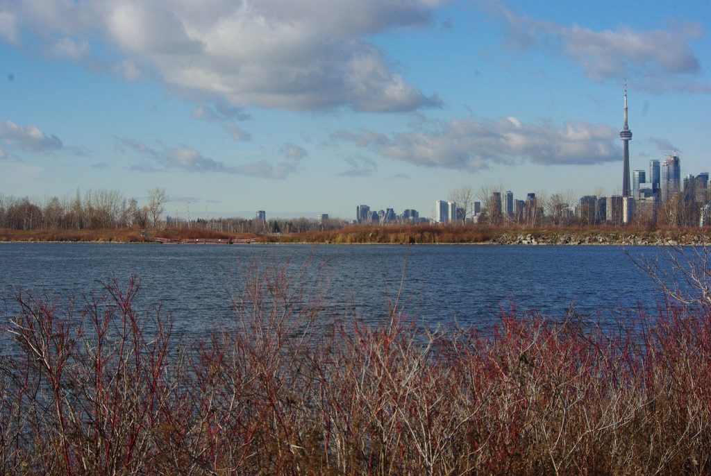 A late fall view of Toronto from Tommy Thompson Park