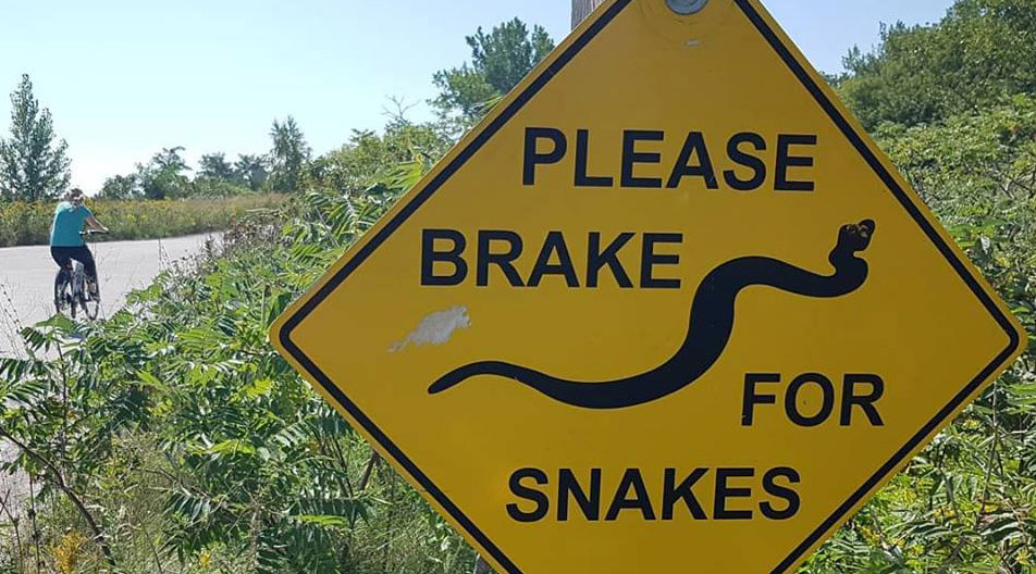 Brake for Snakes road sign