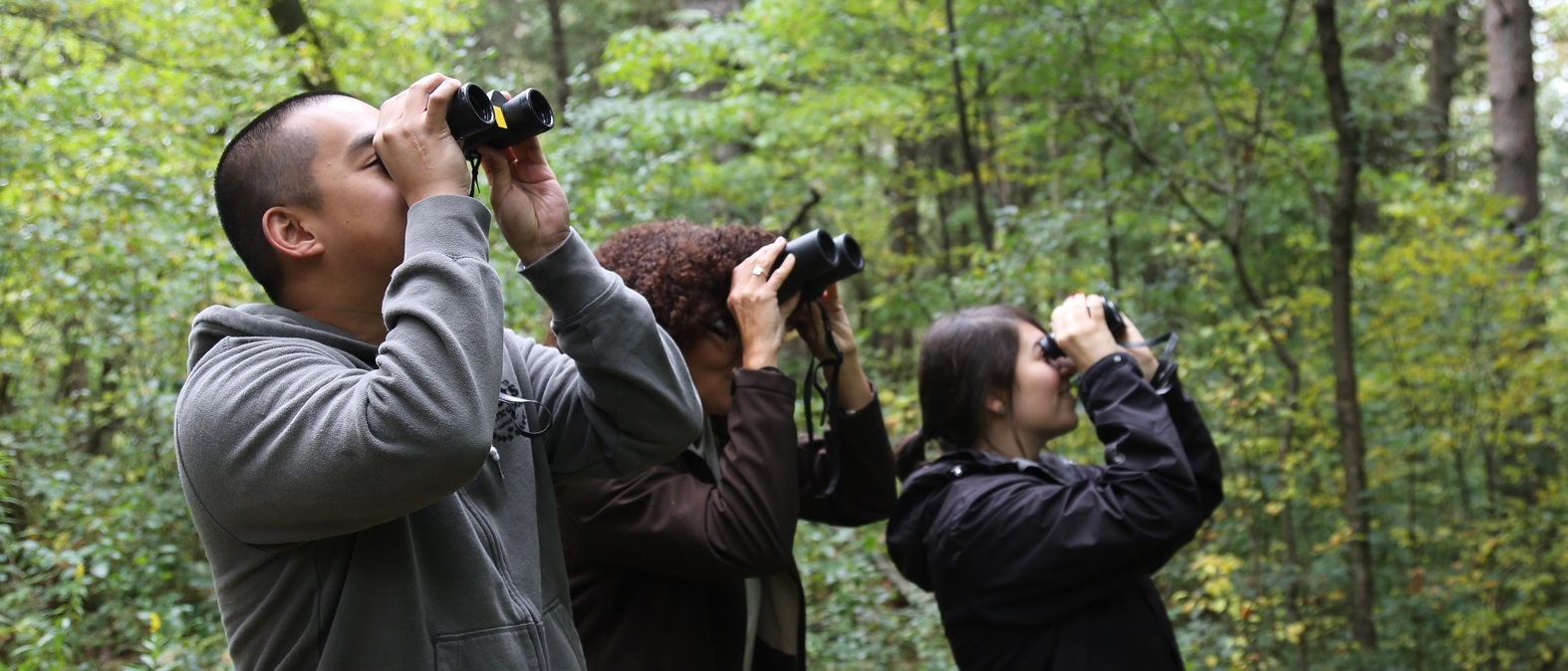 adult learners take part in nature workshop at Kortright Centre