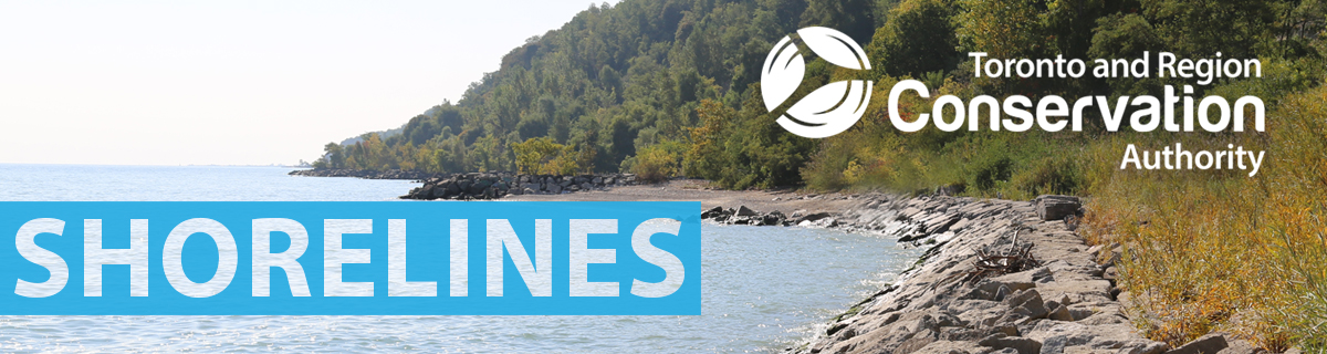 Shorelines newsletter banner