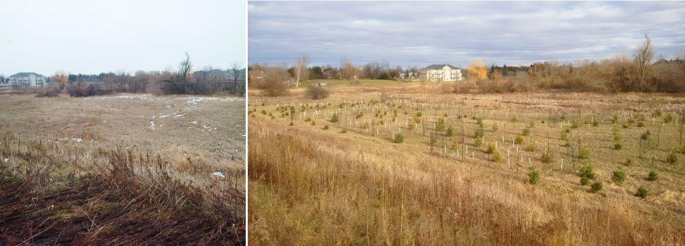 before and after images of Bellissimo compensation project in Brampton