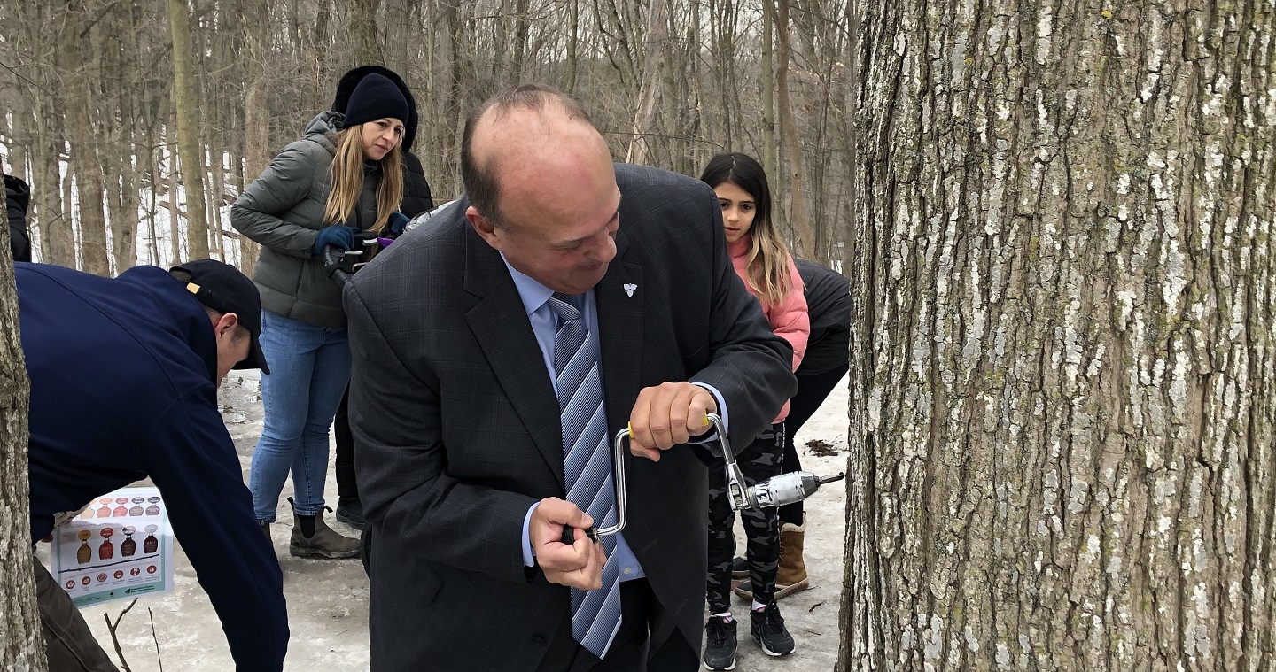 Minister Michael Tibollo taps a tree during visit to the Sugarbush Maple Syrup Festival at Kortright