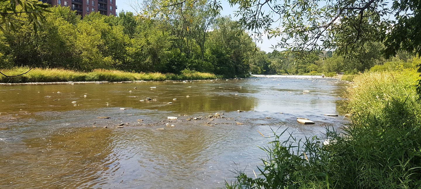 view of Humber River