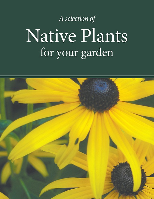 Native Plants fact sheet cover