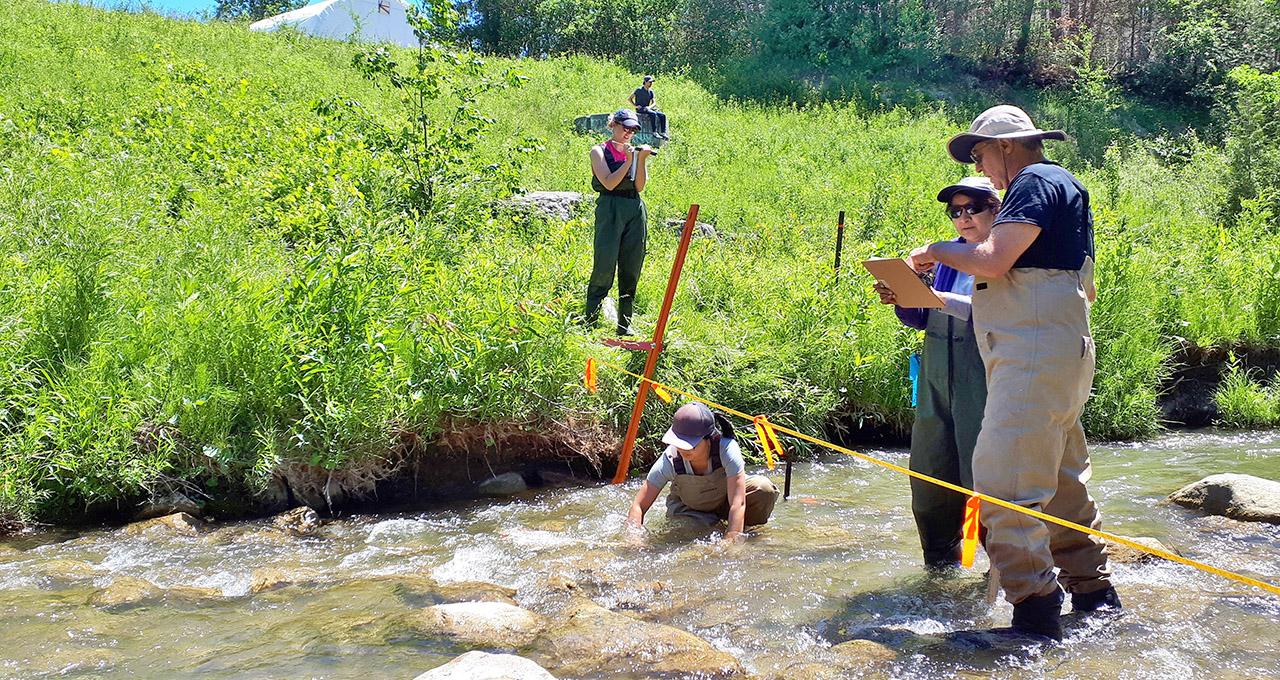 students take part in Ontario Stream Assessment Protocol course